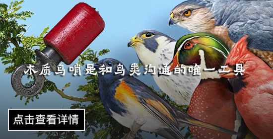 木质鸟哨是和鸟类沟通的唯一工具.jpg