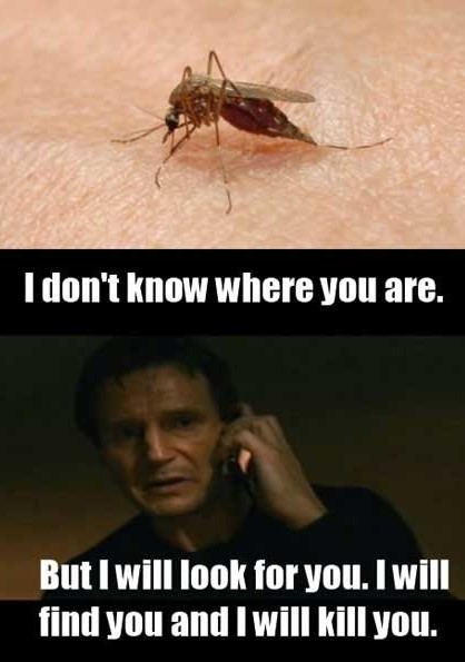 funny-mosquito-bites.jpg